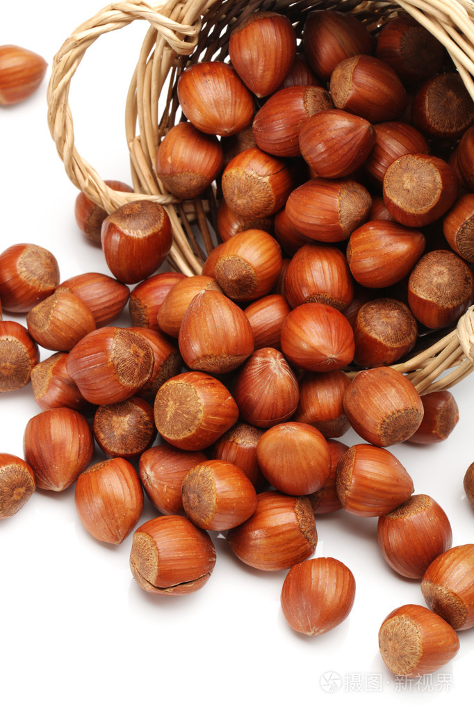 在白色背景上的榛子