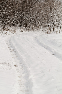 在雪上的轮子的打印图片