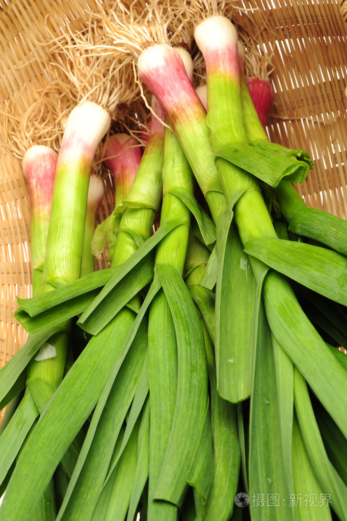 年轻的绿蒜叶上孤立的白色背景