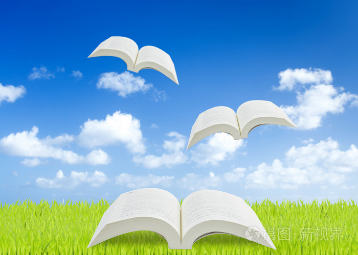 在绿色草地上的书打开与蓝蓝的天空
