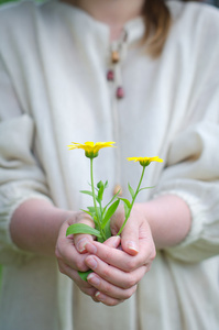 女手牵土黄色花