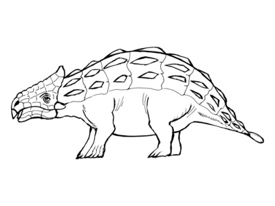 油菜花素描图片