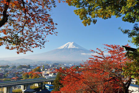 山 fujiin 秋季