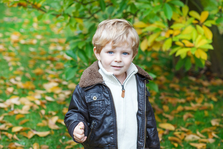 可爱的小孩男孩在秋天公园