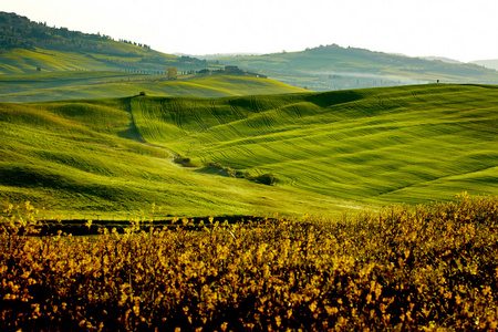 农村，san quiricoorcia，托斯卡纳意大利