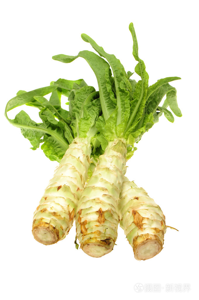 在白色背景上莴笋照片-正版商用图片1cue88-摄图新视界