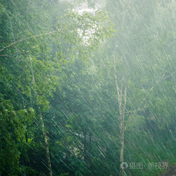 *4032px发票合同问题/大雨树木雨查看作者其他作品查看更多>森林火焰