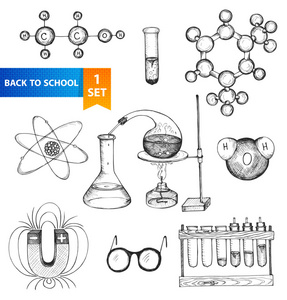 科学组