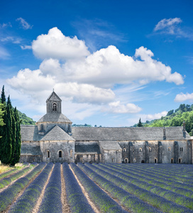 与具有里程碑意义的普罗旺斯薰衣草田地 senanque 修道院