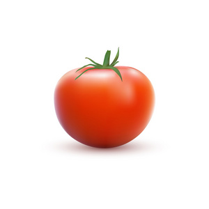白底红番茄的照片真实形象
