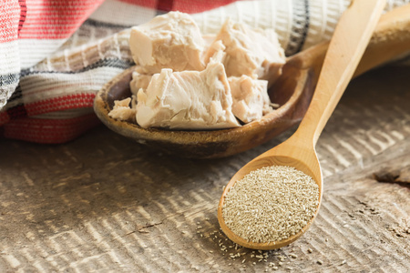 干, 鲜酵母照片