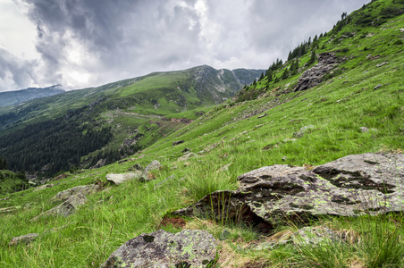 在喀尔巴阡山青水秀风景