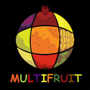 multifruit 收集到从不同水果切片