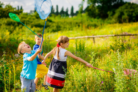 抓蝴蝶的小女孩图片