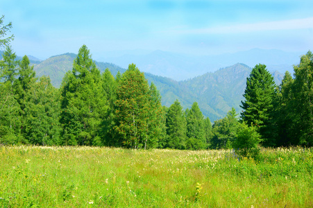 夏天在山