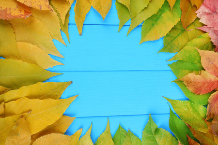 蓝色木板背景明亮秋天的树叶