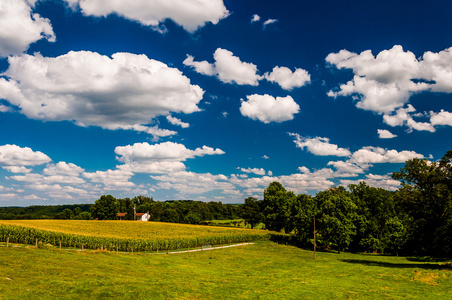 letn mraky nad pole ve venkovskch york county, Pensylvnie
