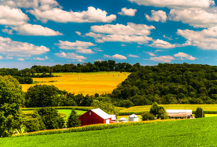 农田和起伏的丘陵区农村约克县，宾夕法尼亚州