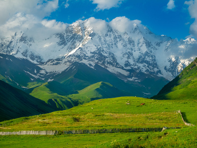 美丽的草甸景观附近 ushguli，斯瓦涅季，格鲁吉亚