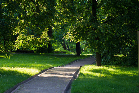 在莫斯科市公园 kolomenskoe 夏天风景