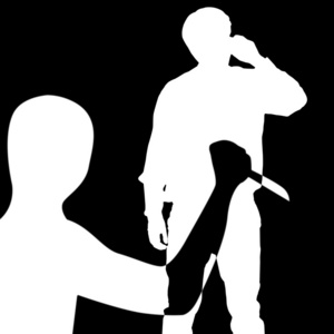 一刀在背后捅一刀的刀照片