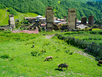 斯瓦涅季的乡村风景