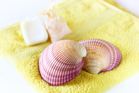 肥皂毛巾和贝壳