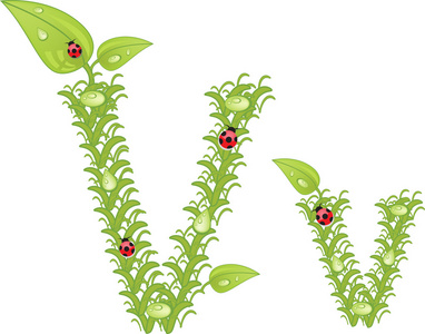 生态字母表 瓢虫 带绿色花卉字母矢量
