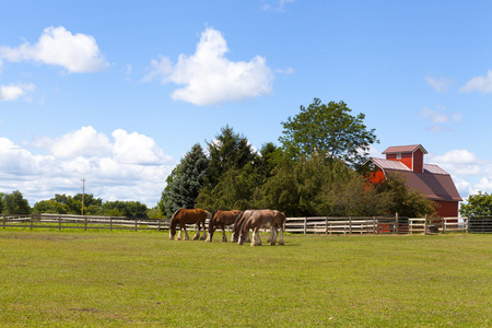 美国农村红农场与蓝蓝的天空美国农村红农场与蓝蓝的天空旧砖墙阿姆