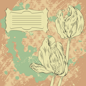 两朵花的郁金香和复古背景图案上的标签