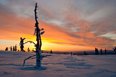 在芬兰的冬天日落