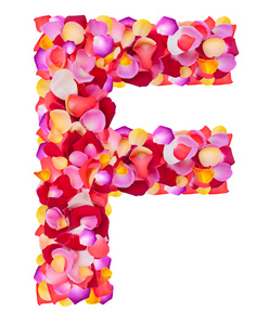 字母 f 从七彩花瓣玫瑰
