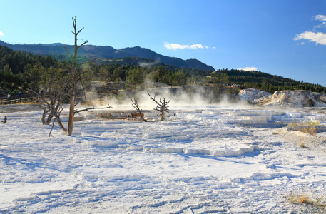      yellowstone