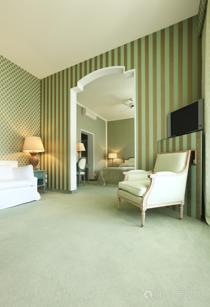 内饰豪华公寓, 舒适的套房, 休息室