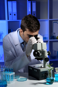 年轻的实验室里的科学家在实验室显微镜看