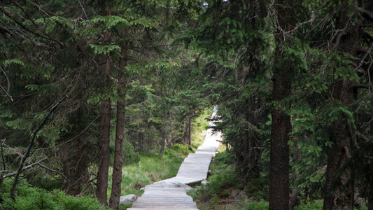 karkonosze 山景色和徒步旅行