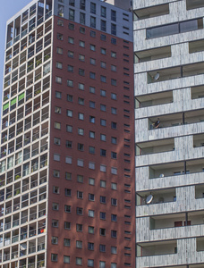 windows 在现代建筑 城市的城市生活