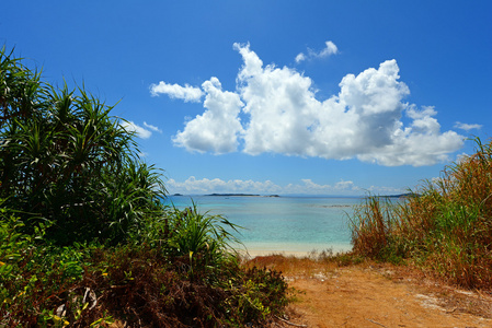 蓝蓝的天空和亚热带植物的冲绳
