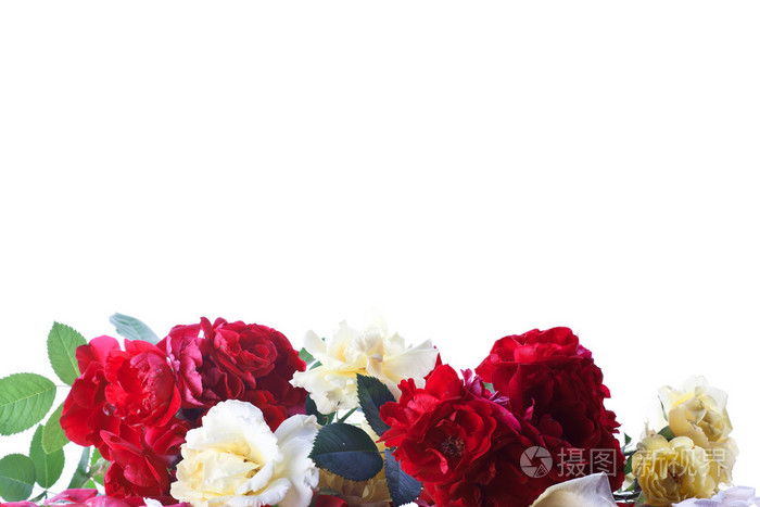 红玫瑰和白色花瓣的背景