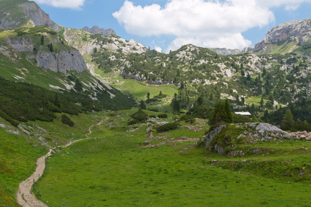 在奥地利阿尔卑斯山的夏天风景