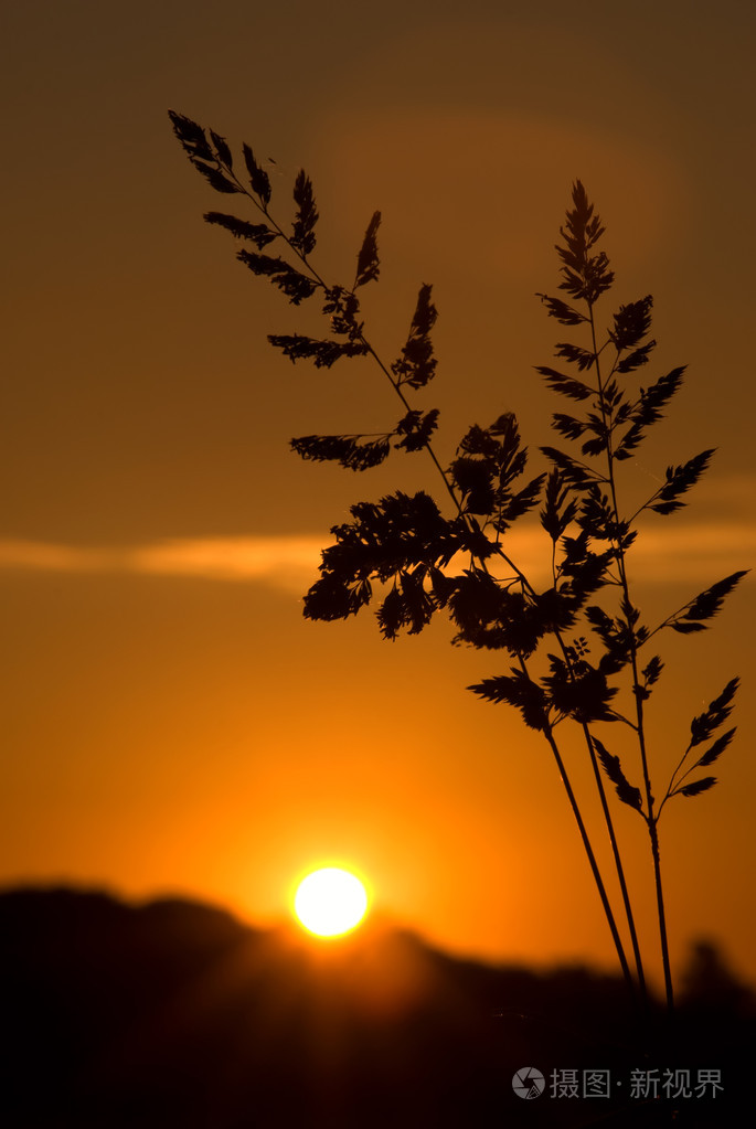 夕阳与前景照片-正版商用图片1cxmg4-摄图新视界