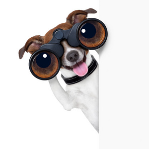 双筒望远镜的狗图片
