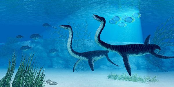 plesiosaurus 恐龙照片