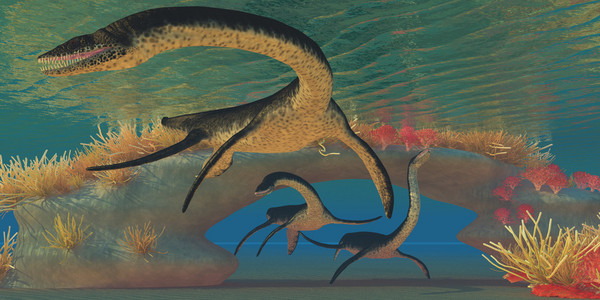 plesiosaurus 海