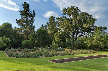 rosarium 与池塘的片段