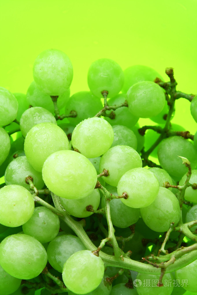 明亮的绿色背景与湿葡萄的形象