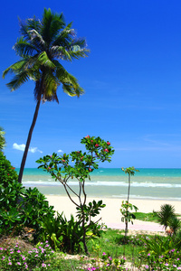 在泰国海滩上查看