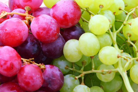 背景图像的红色和绿色的葡萄