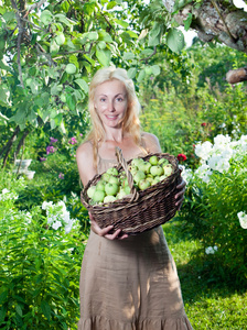 一篮苹果在花园与年轻有魅力的女人