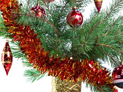 新的一年的球在树枝的一棵圣诞树和礼物